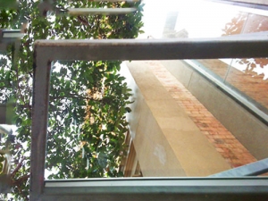 WindowCleaning-after2