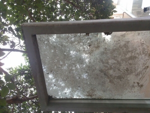 WindowCleaning-before2