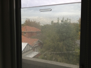 window cleaning